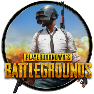 Pubg Battlegrounds Skin