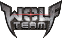 Wolfteam Random Hesap